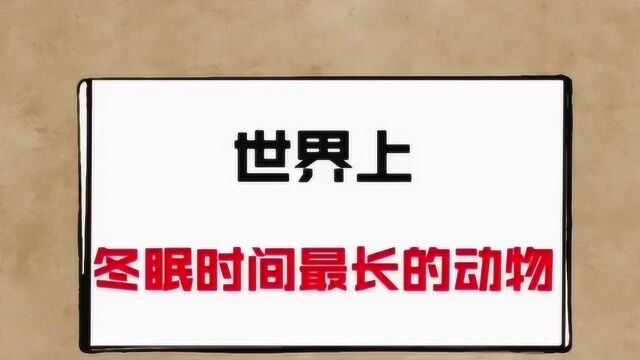 世界上冬眠时间最长的动物,羡慕了!谁不想,天天睡觉呢