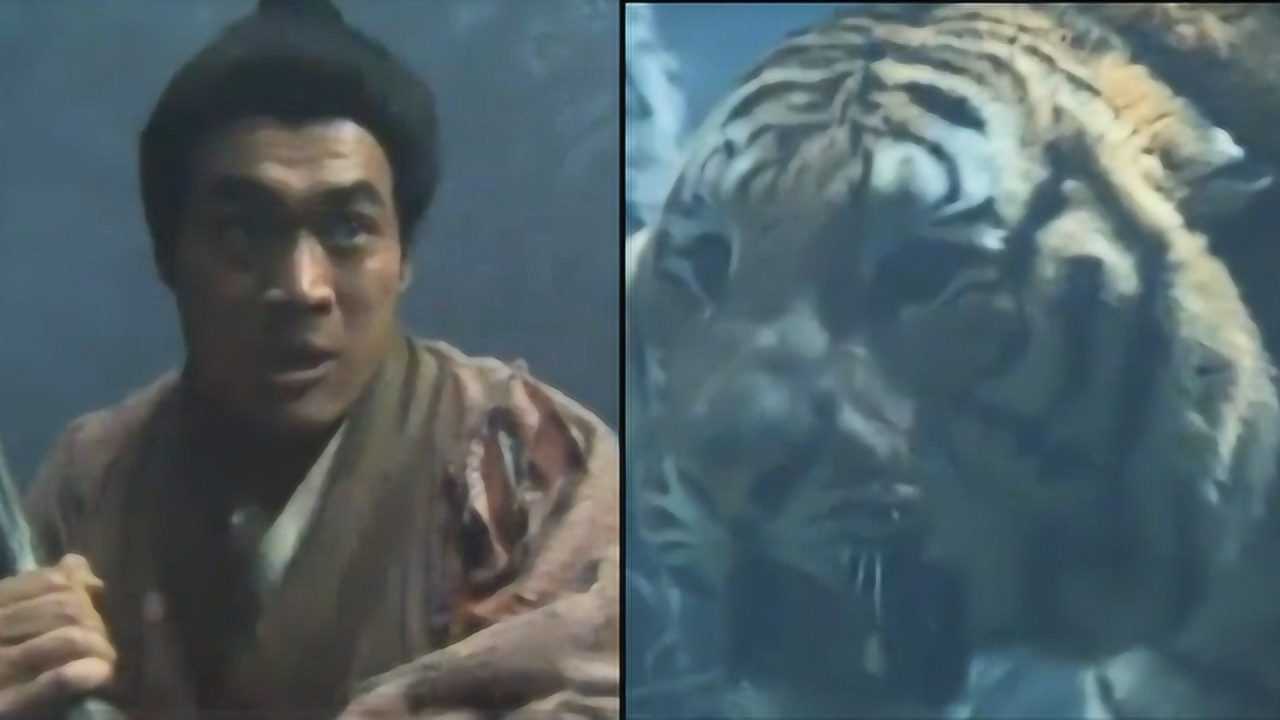 98版《水浒传》花絮曝光，武松打的竟然是真老虎？演员拍戏险被咬_腾讯视频