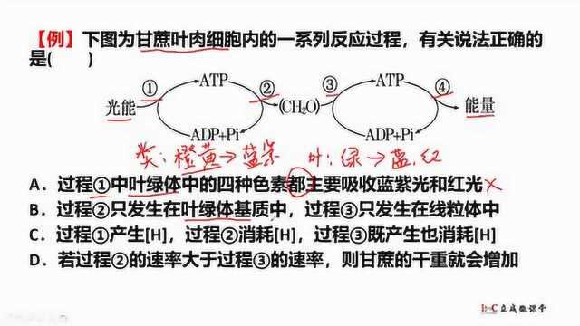 生物高考竟可以这么简单!王立成讲生物《1.2光合与呼吸的关系》