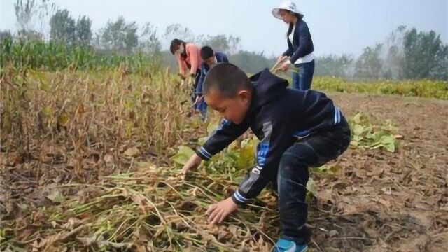 俗语“十个瘦子9个贫”啥意思?有道理吗?放在当今社会还适用吗