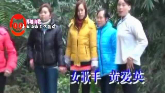 那坡山歌演唱男:黄建荣 女:黄爱英 01