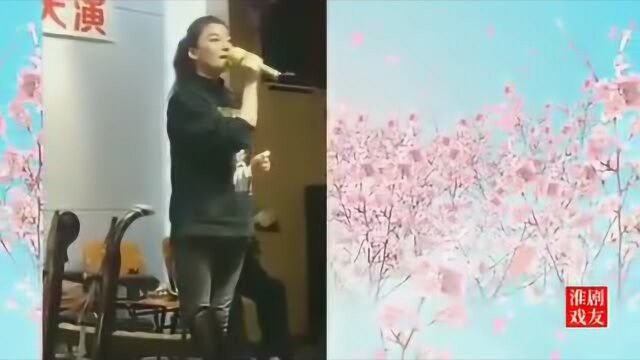 淮剧选段《郑板桥叙怀抱》 演唱:陈丽娟