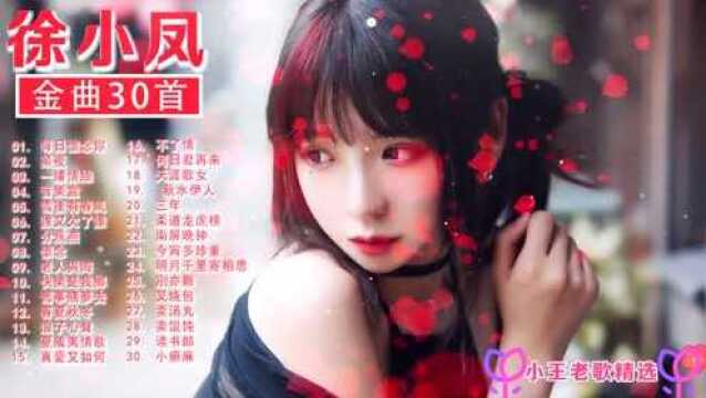 粤语金曲歌后'徐小凤'30首《每日怀念你》《一缕情丝》《不了情》等