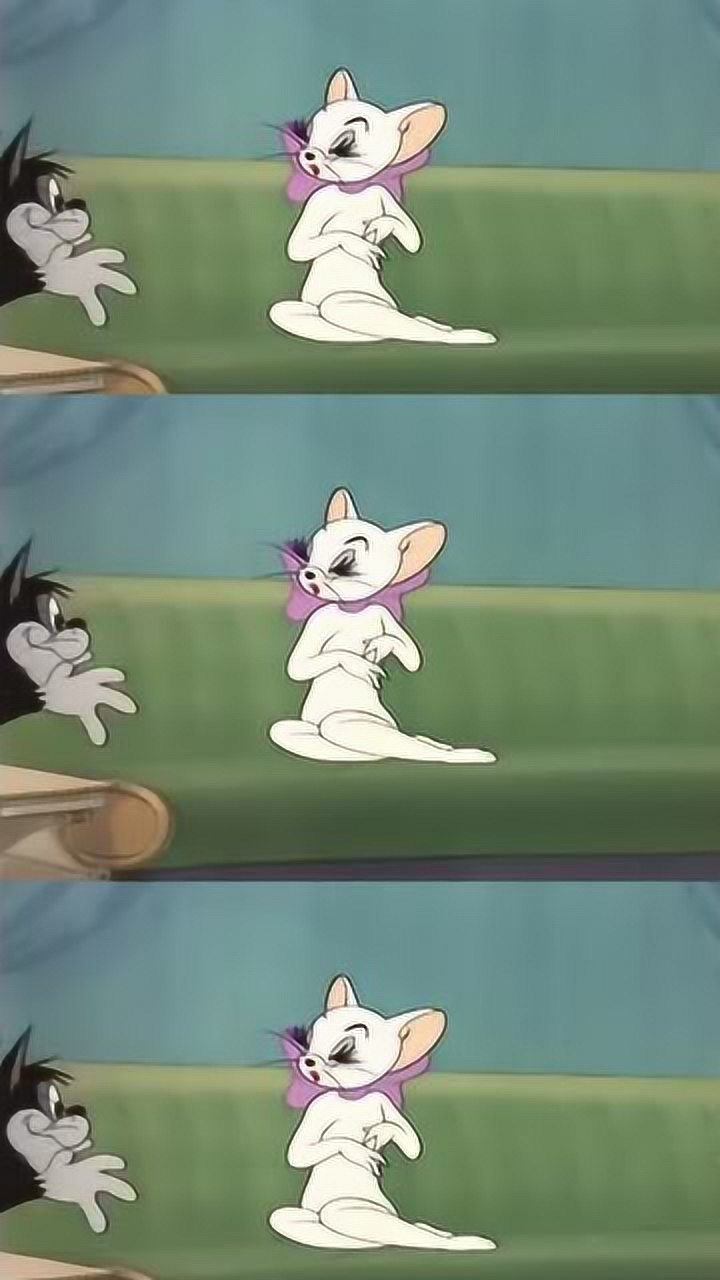 猫和老鼠汤姆没看到黑猫过来了还以为自己亲的是白猫