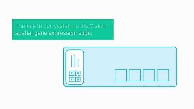 10x Genomics工作原理 | 空间基因表达解决方案
