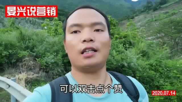 主流短视频平台推荐机制差异