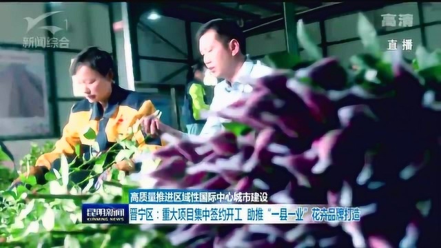 晋宁区:重大项目集中签约开工 助推“一县一业”花卉品牌打造