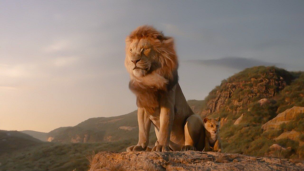 狮子王辛巴我爹说这一片都归他管你却请我到你家吃虫子