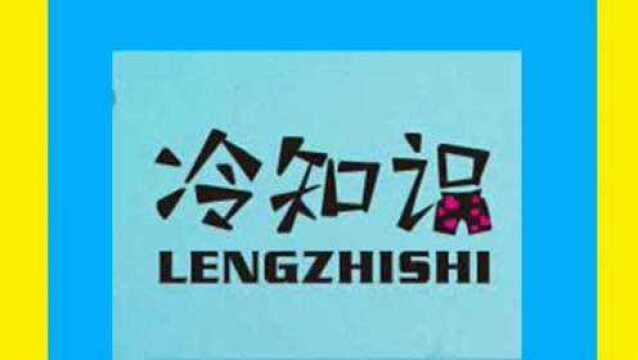 微课堂冷知识,关于蝴蝶这小动物的冷知识,快来了解一下吧.