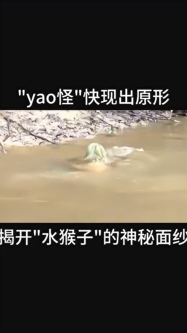 解密"水鬼"真相,没想到是这种动物,相貌真丑陋!