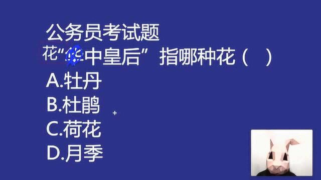 公务员常识基础模拟:“花中皇后”指哪种花,杜鹃吗?