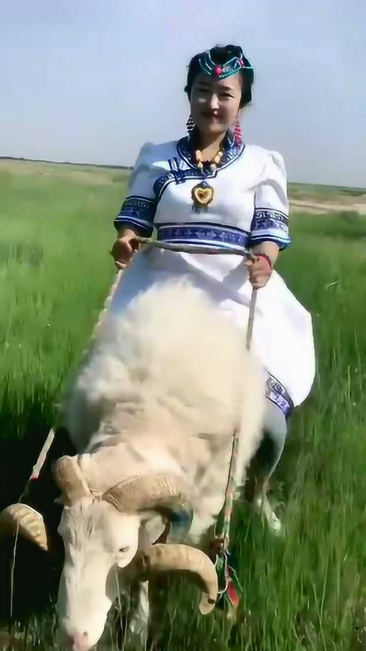 农村姑娘骑羊图片