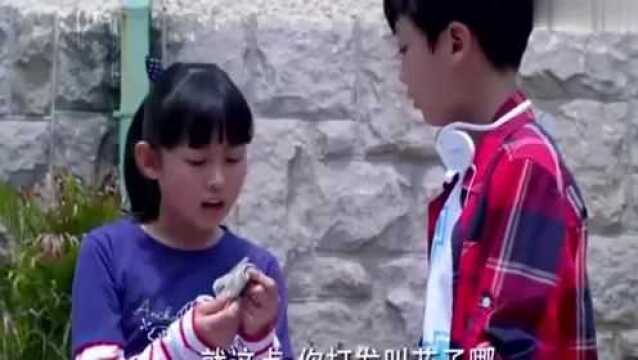 游游要借钱,威胁添乐拿出私房钱,还好添乐不吃这一套