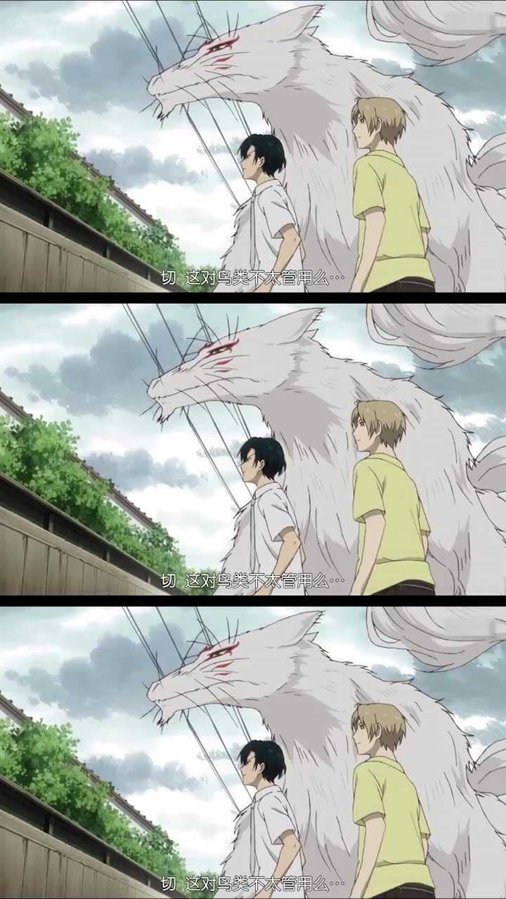 猫咪老师变身后,帅呆了!