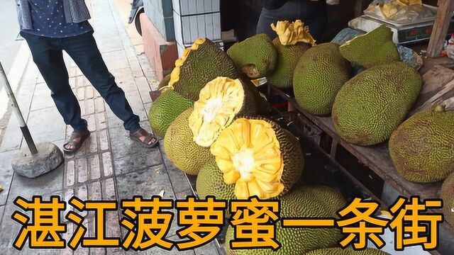 实拍湛江菠萝蜜一条街,看看卖多少钱一斤?这价格大家能接受吗?