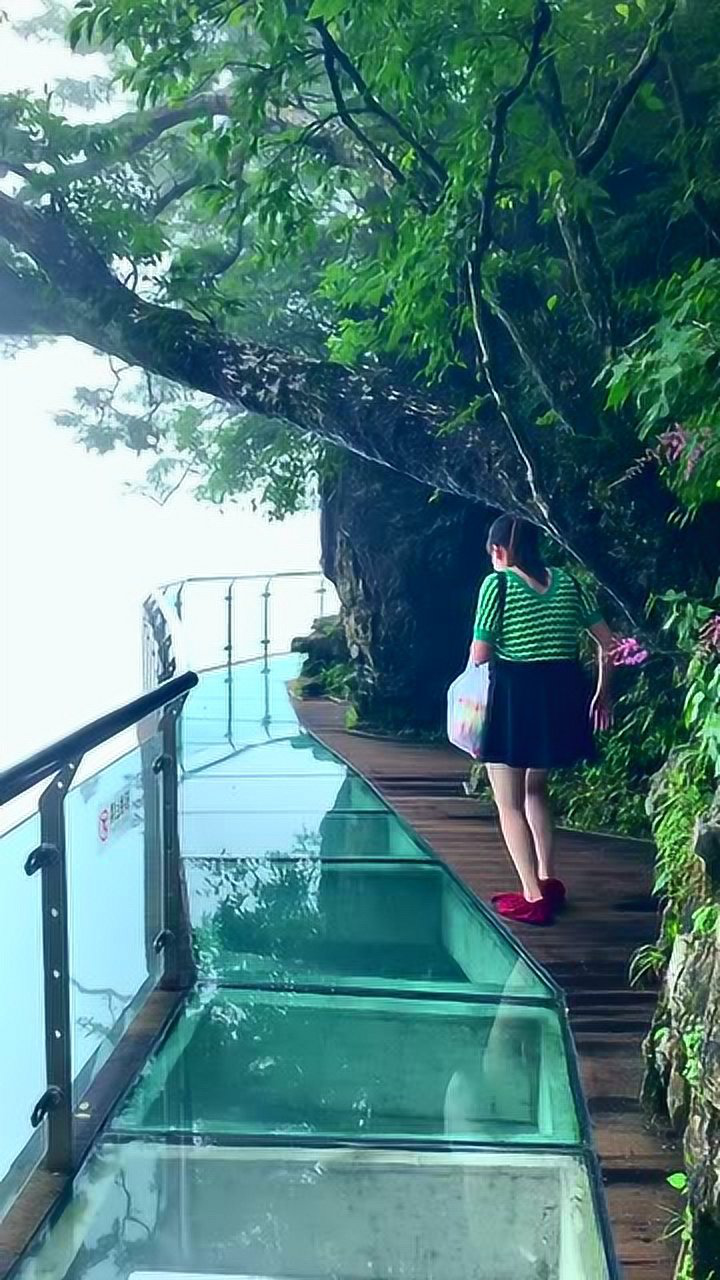 在玻璃栈道上走,美女穿着裙子走,看的人害怕!