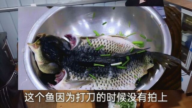 河南豫东特色家常菜煎扒鱼,大小饭店卖的都不错,赶快收藏起来吧