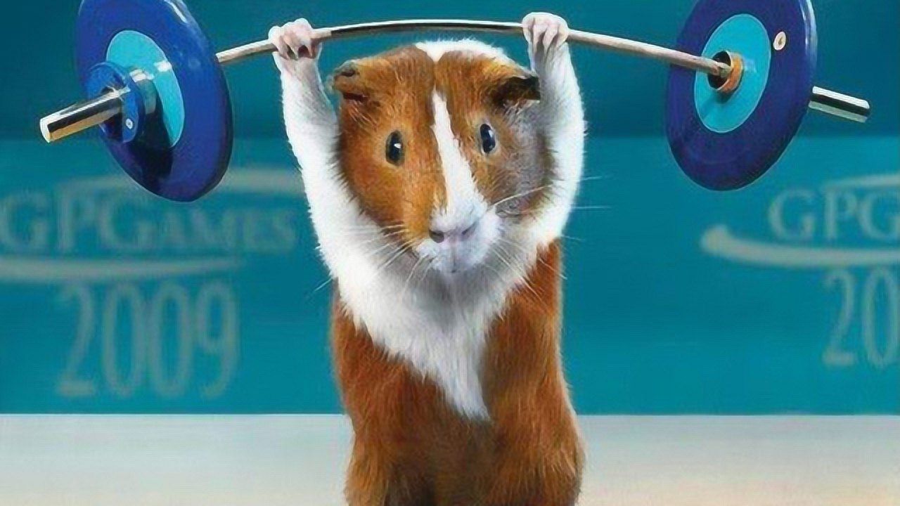 老鼠被捕鼠器夹住,竟然直接做起了健身运动,这莫不是成精了!