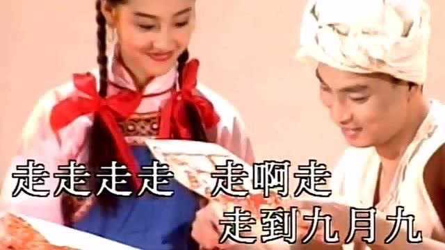 陈少华九月九的酒好看好听音乐怀旧歌曲流行