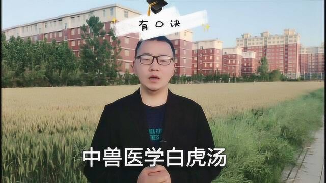 执业兽医资格考试中兽医学中中药汤剂白虎汤,有口诀