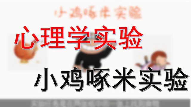 趣味科普:心理学实验之小鸡啄米实验