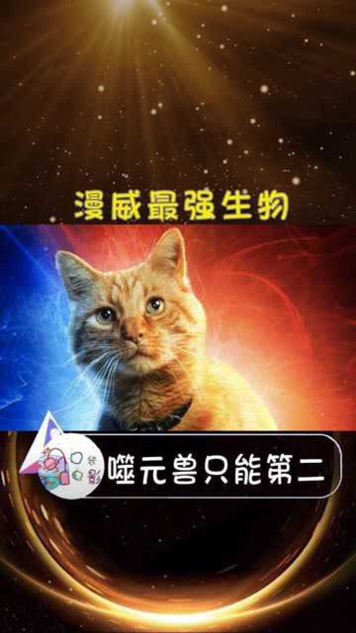 720_1280竖版 竖屏