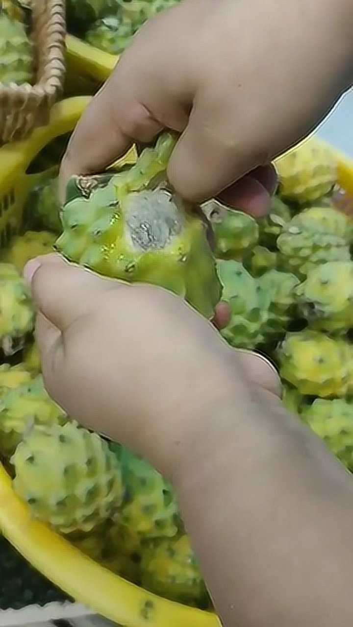 是火龙果变异了还是释迦果变心了