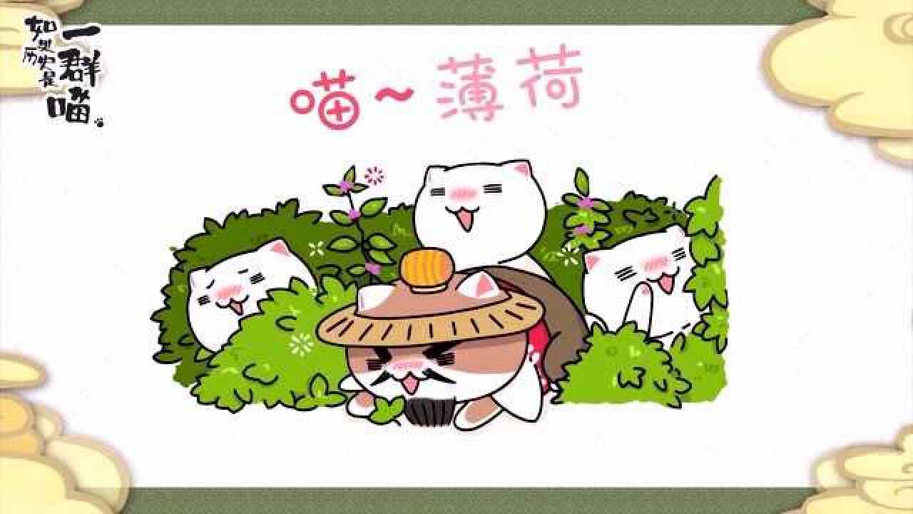 如果历史是一群喵各种节气都制定了这可真是太厉害了