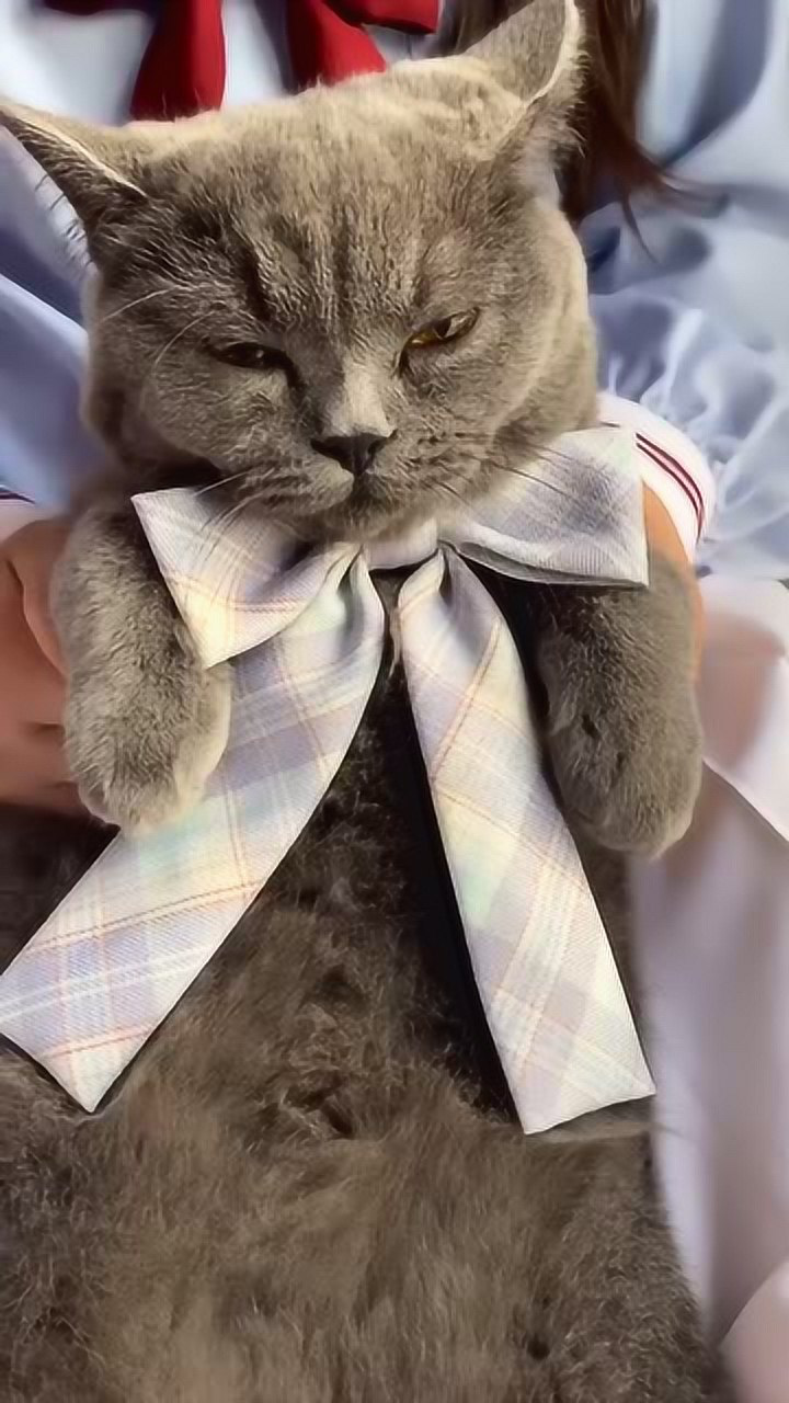 jk制服小猫咪你要是被店主这个坏女人绑架了就眨眨眼睛