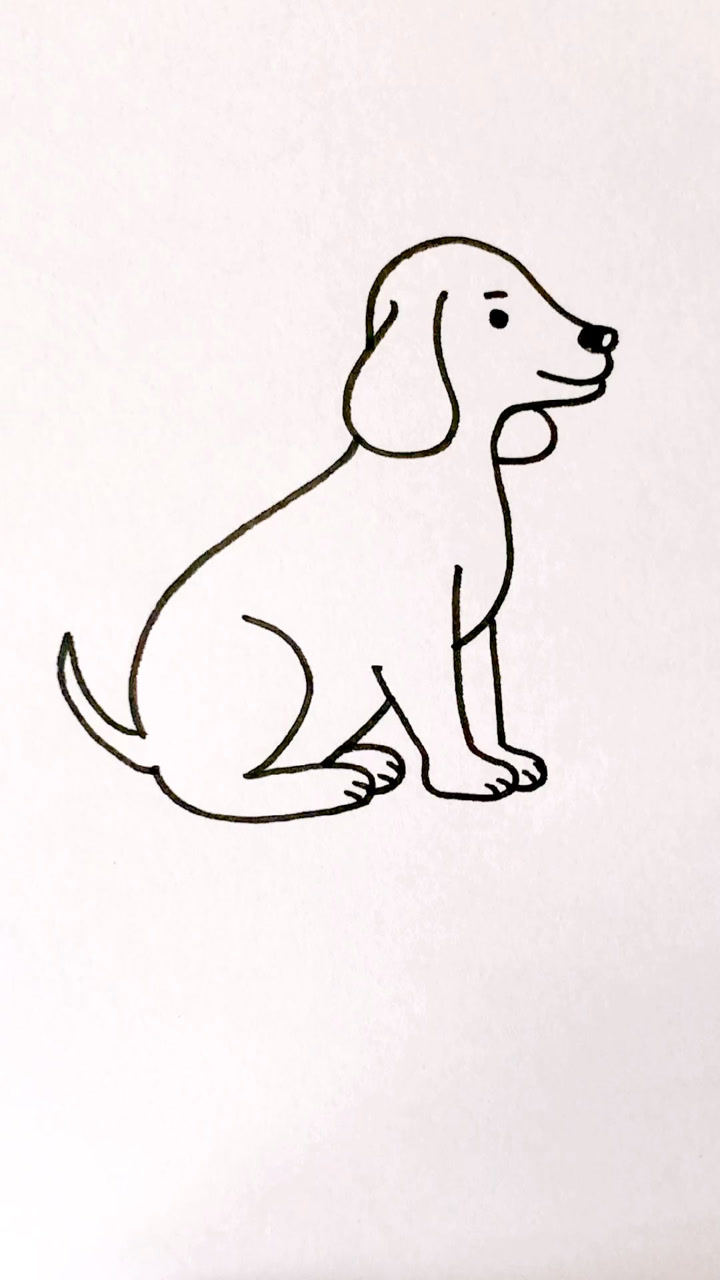 画可爱的小狗 #简笔画