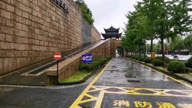 小玳姐请同行苏城拍客闯王吃海鲜烤鱼,回家途中园区松涛街树倒一大片