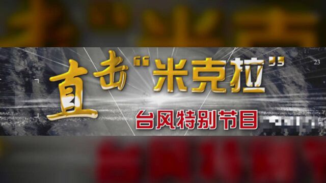 视频直击!厦门迎狂风暴雨巨浪,多处树木倒伏…航班、动车最新情况