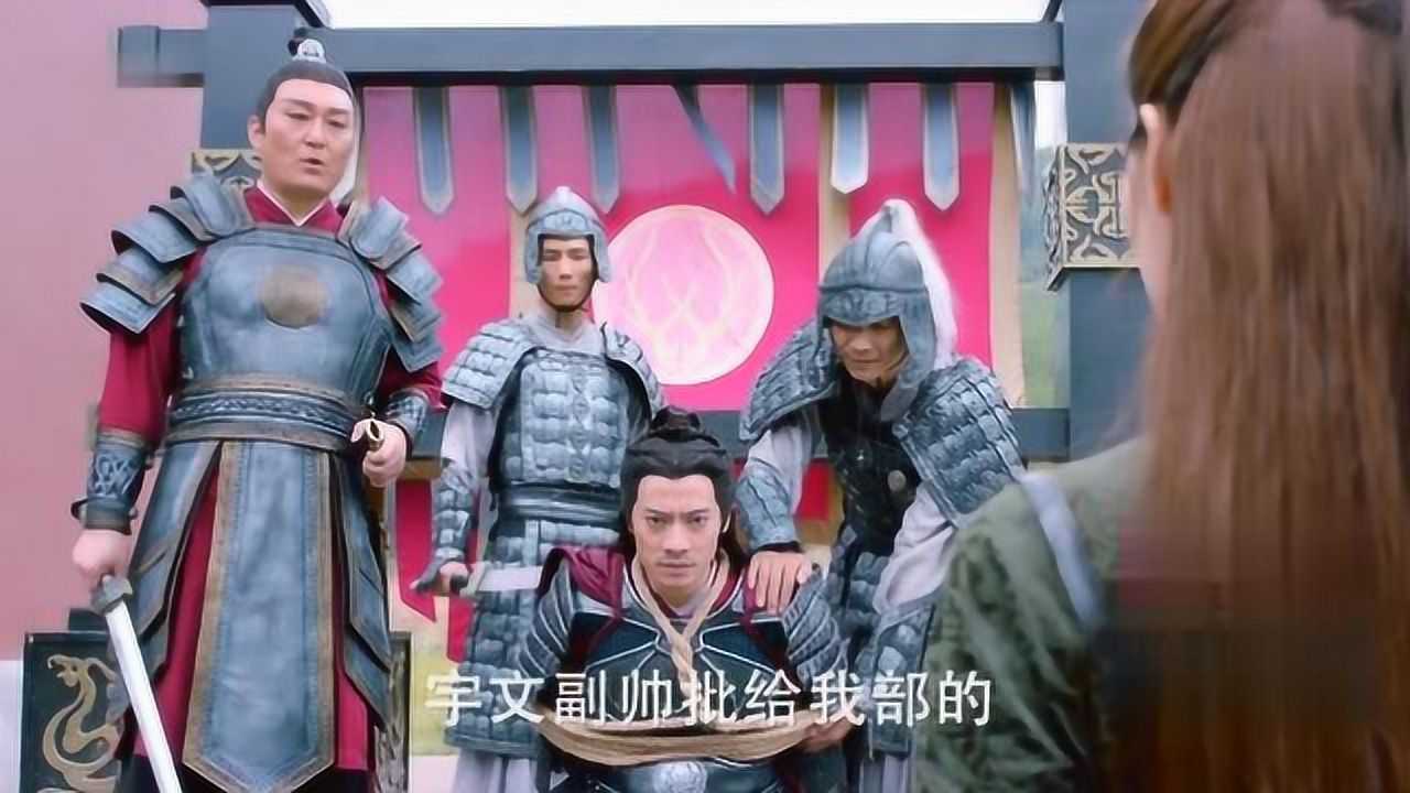 楚乔传行刑时刻楚乔再次赶到质问统领为何惩治贺萧