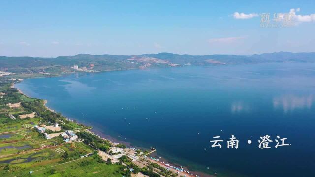 云南澄江:生态产业带火抚仙湖畔乡村旅游