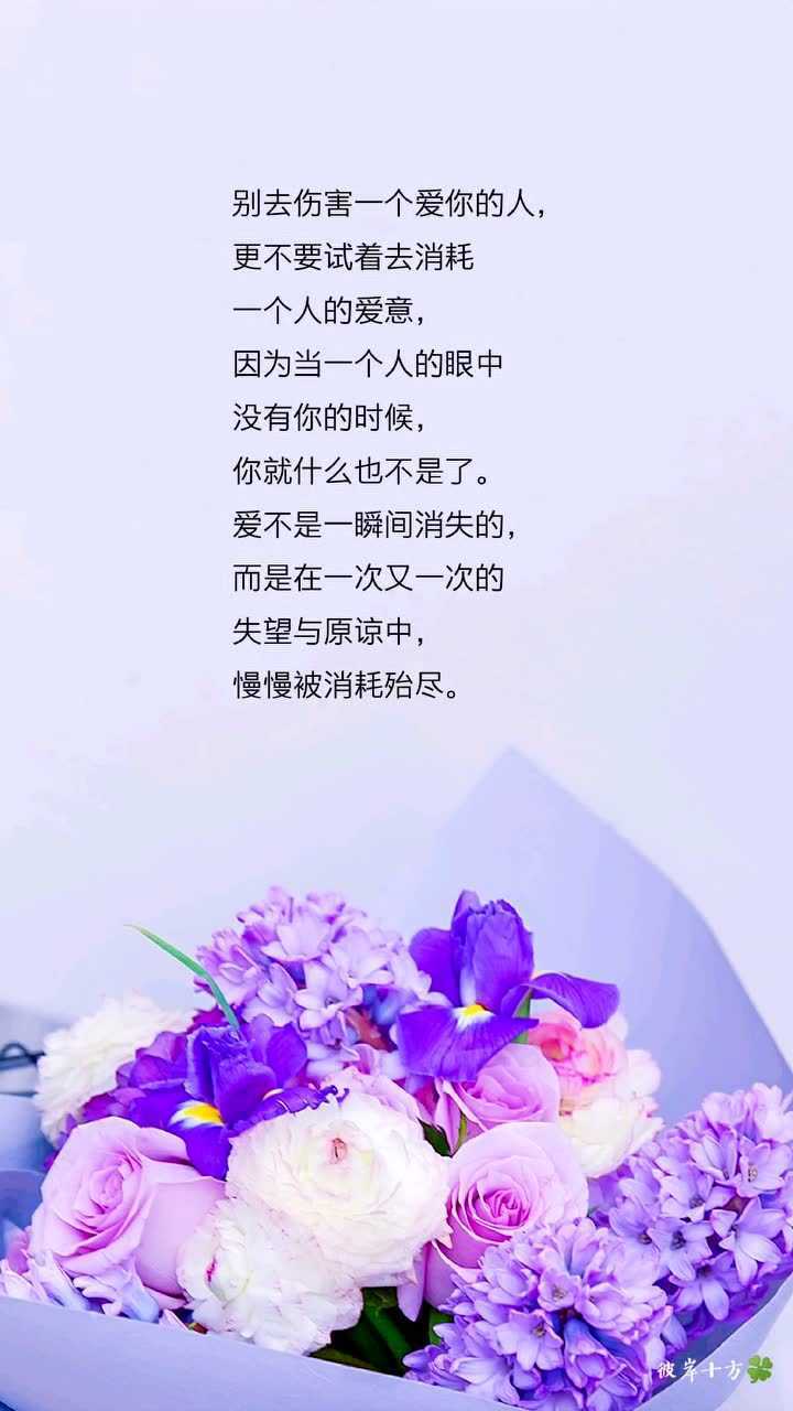 情感语录别去伤害一个爱你的人更不要试着去消耗一个人的爱意