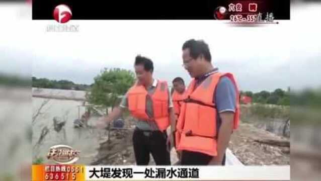 雷龙中:风雨之中守初心!走进抗洪大堤上的“黑脸”书记...