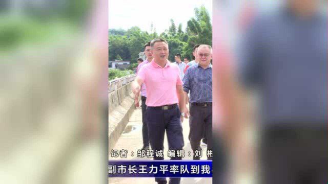 副市长王力平到我县督导防汛减灾工作