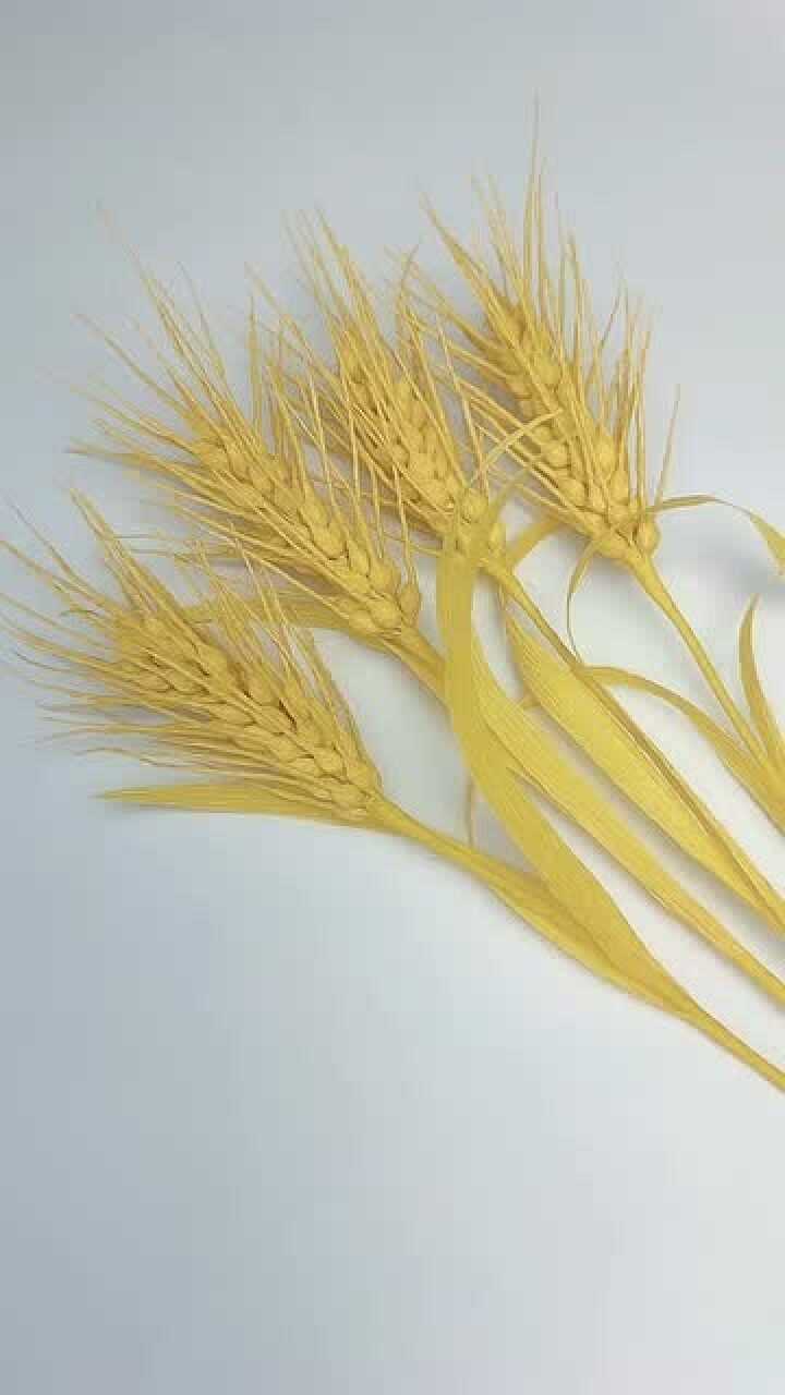 麦穗可以这样做