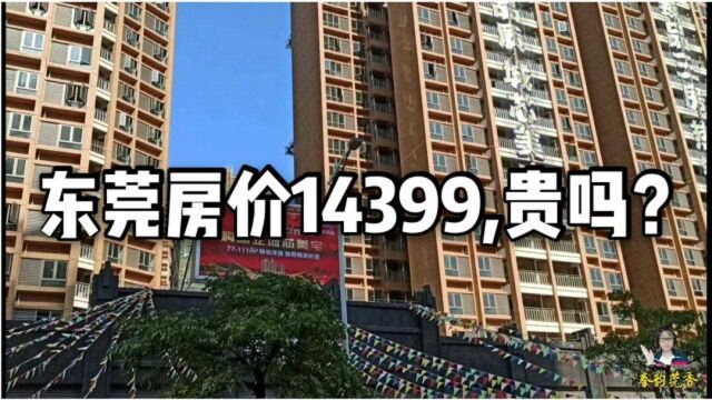 新一线城市东莞镇街真实房价,每平米14399起!这房价高吗?