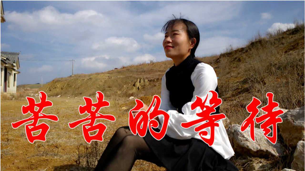 相思情歌《苦苦的等待》歌词伤感入心,听哭多少有情人,回味无穷