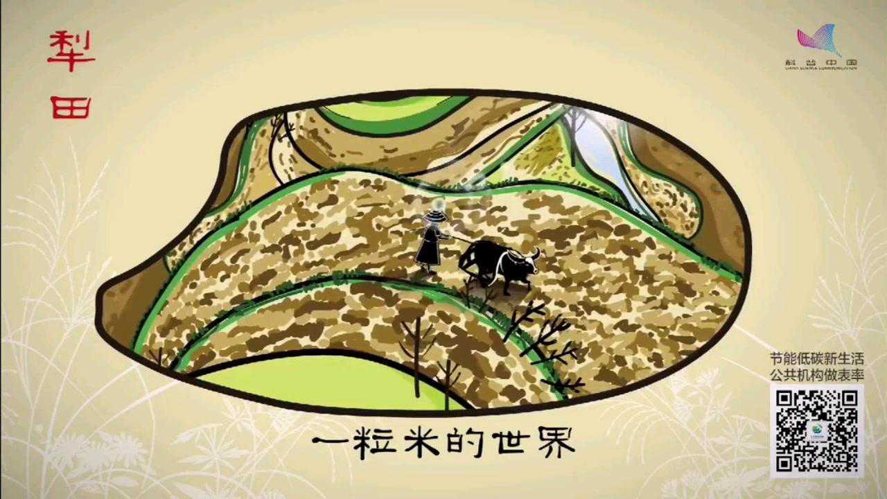 一粒米的世界(来源公共机构生活垃圾分类助手)