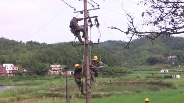 8.262赣县区供电公司开展线路检修 保障居民用电稳定