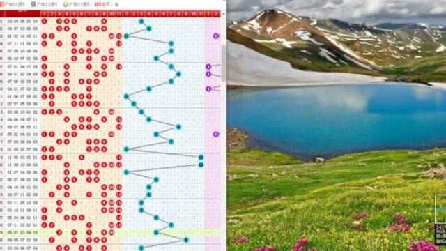 11选5对称任七胆码教程