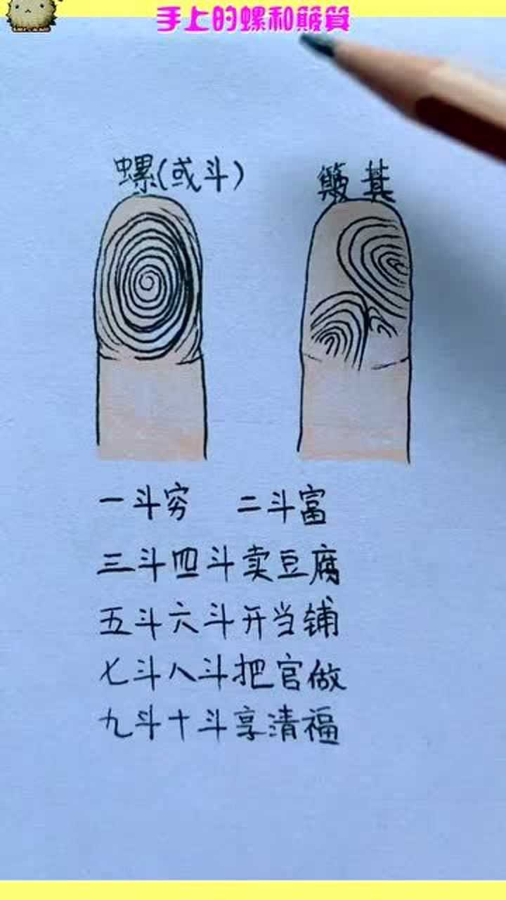 手指斗簸箕图片