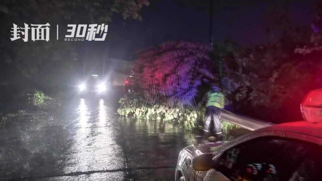 30秒|四川自贡暴雨中大树倒下拦路,贡井交警徒手移开保畅通