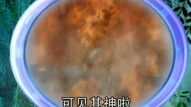 海洋世界:海底神木海柳的特点