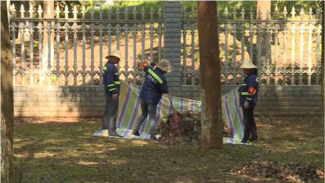 中元节文明祭祀 园林护绿在行动