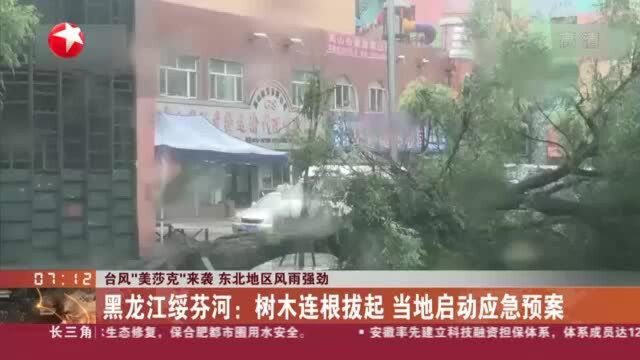 台风“美莎克”来袭 东北地区风雨强劲:黑龙江绥芬河——树木连根拔起 当地启动应急预案