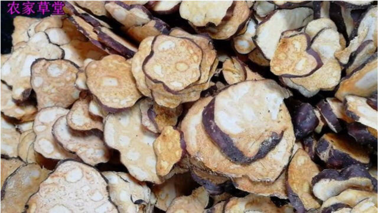 种了三年的何首乌,今天准备切片,你见过吗