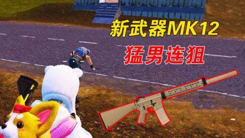 和平精英:新武器mk12,不仅枪声好听,伤害比mini还高!